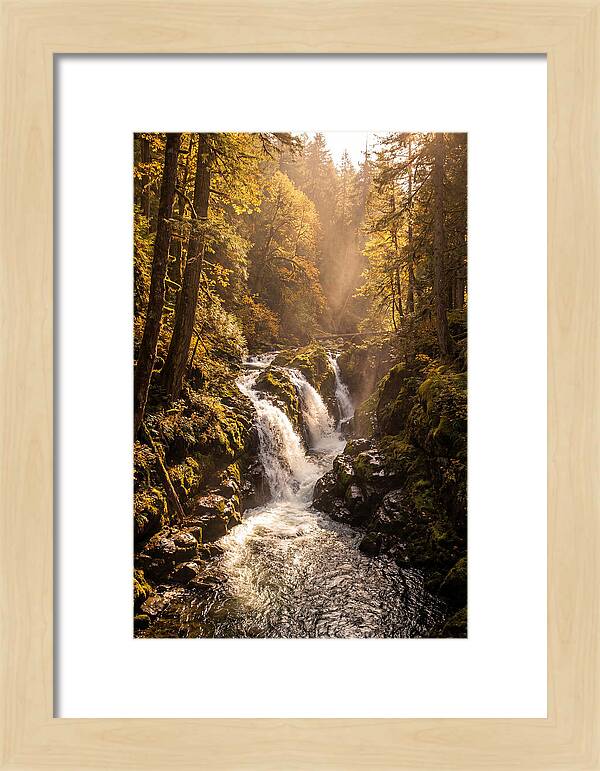 Cedar Falls Cascade