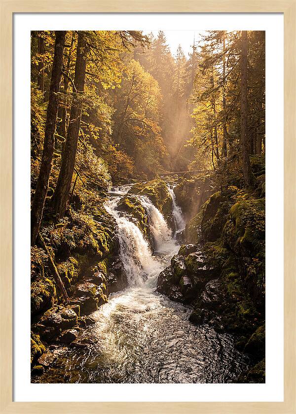 Cedar Falls Cascade