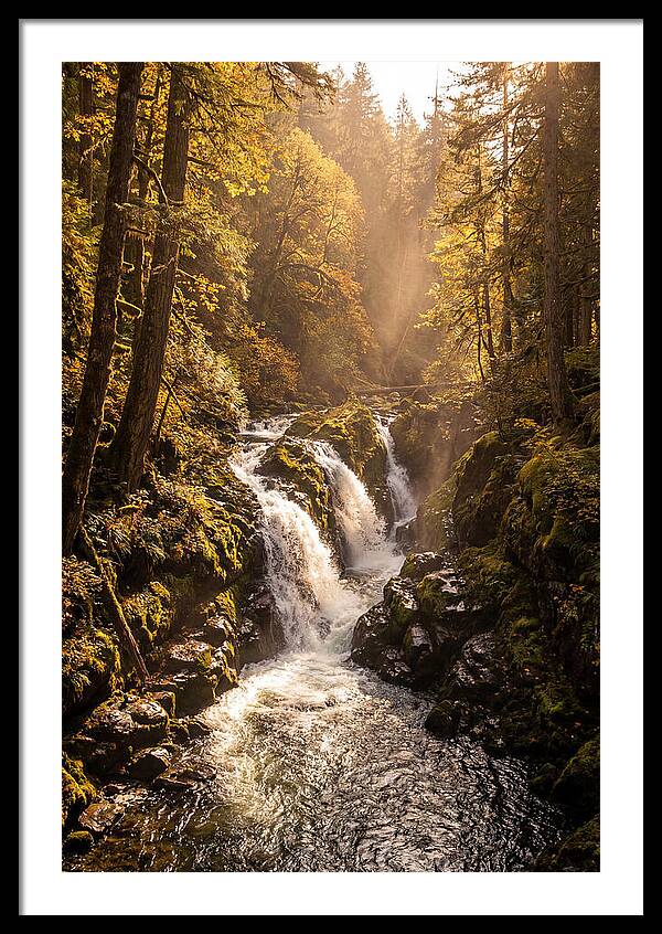 Cedar Falls Cascade