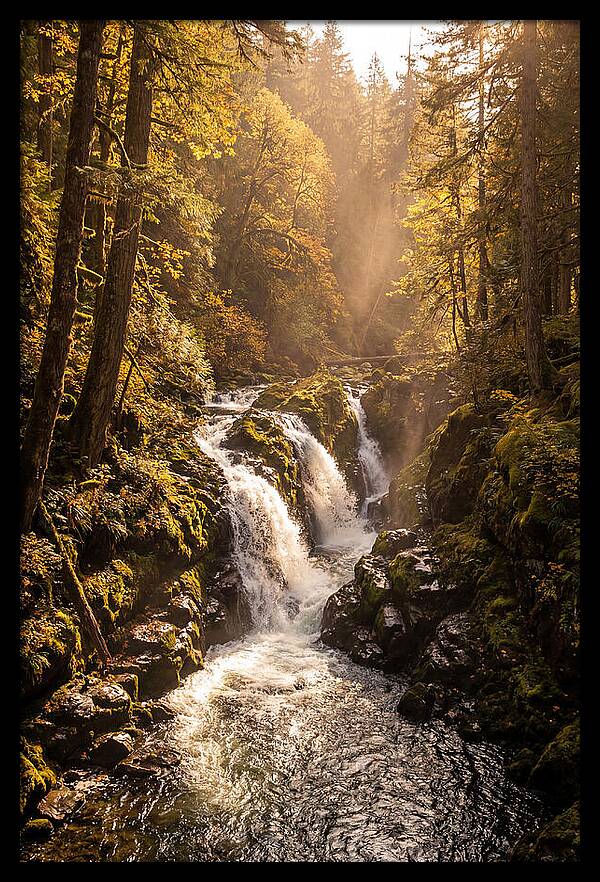 Cedar Falls Cascade