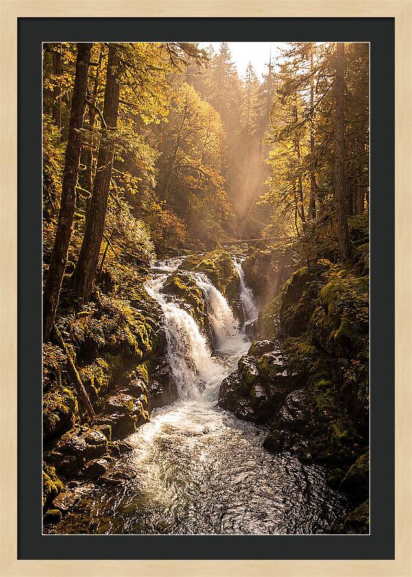 Cedar Falls Cascade