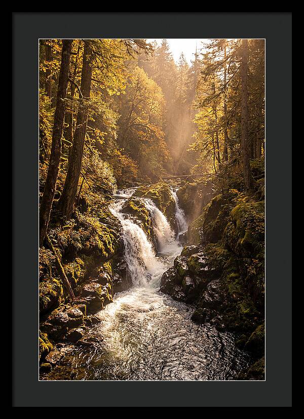 Cedar Falls Cascade
