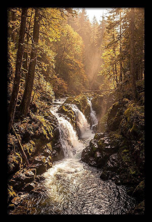 Cedar Falls Cascade