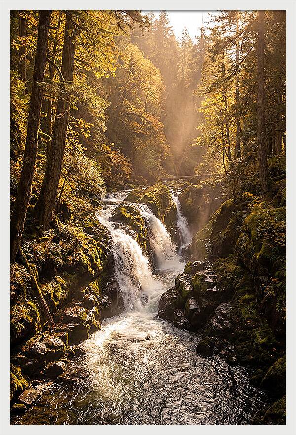 Cedar Falls Cascade