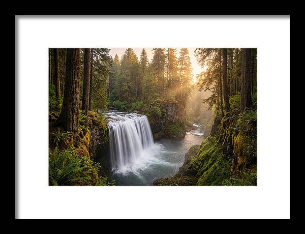 Cedar Falls Serenity