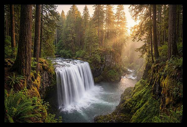 Cedar Falls Serenity