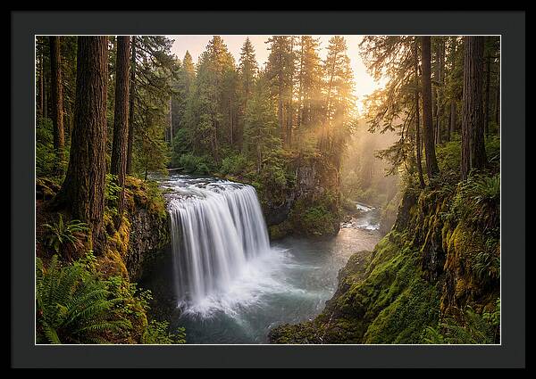 Cedar Falls Serenity