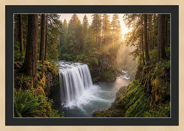 Cedar Falls Serenity