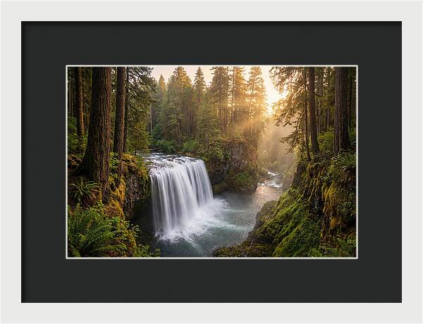 Cedar Falls Serenity