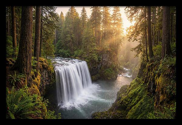 Cedar Falls Serenity
