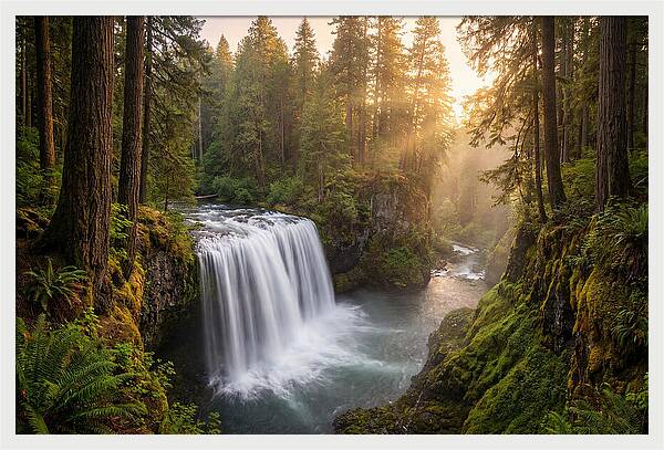 Cedar Falls Serenity