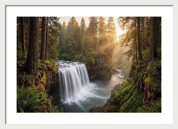 Cedar Falls Serenity