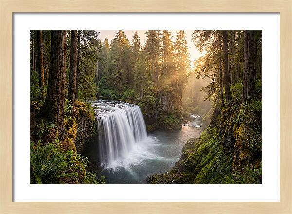 Cedar Falls Serenity