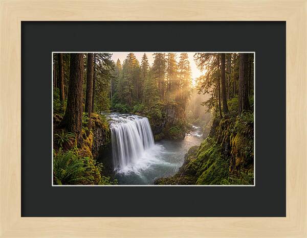 Cedar Falls Serenity
