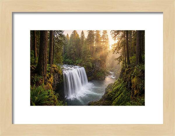 Cedar Falls Serenity