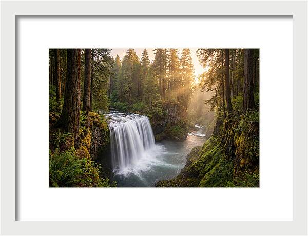 Cedar Falls Serenity