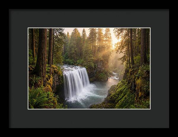 Cedar Falls Serenity