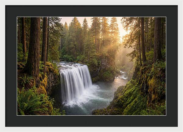 Cedar Falls Serenity