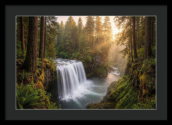 Cedar Falls Serenity