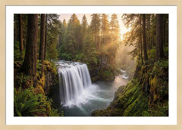 Cedar Falls Serenity