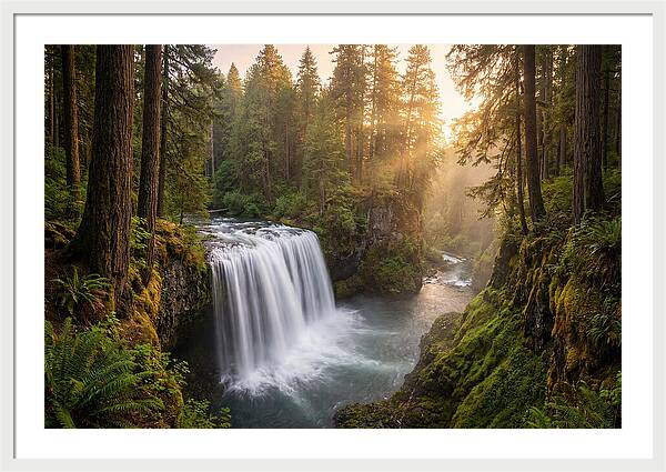 Cedar Falls Serenity