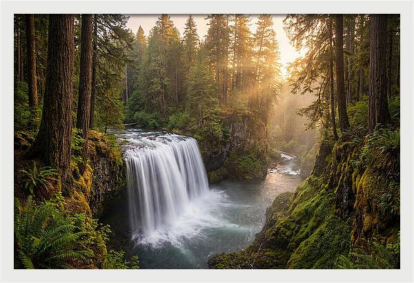 Cedar Falls Serenity