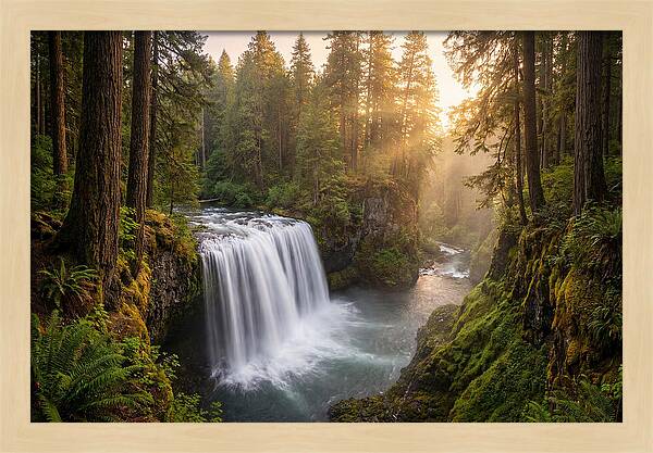 Cedar Falls Serenity