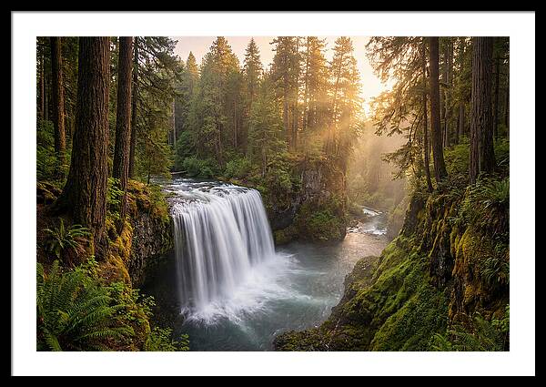 Cedar Falls Serenity