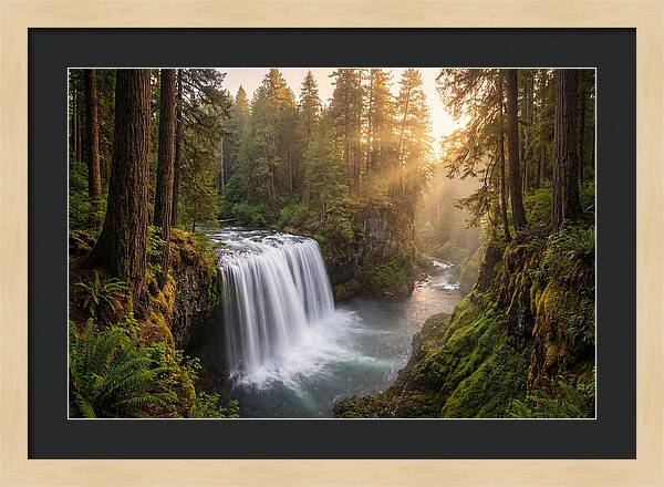 Cedar Falls Serenity