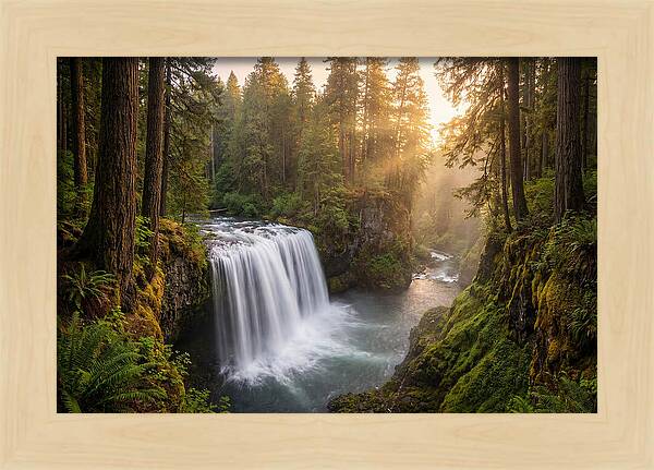 Cedar Falls Serenity