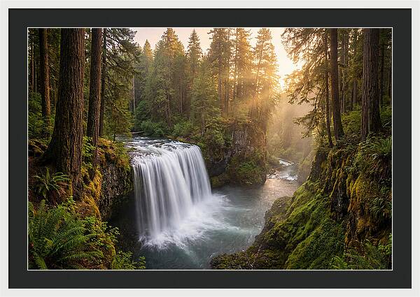 Cedar Falls Serenity