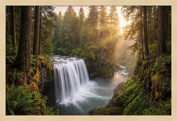 Cedar Falls Serenity