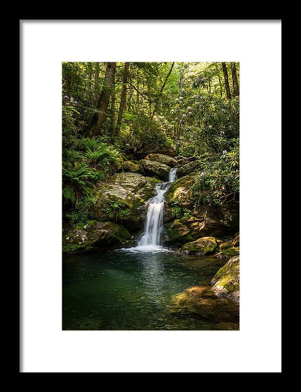 Cedar Falls Tranquility