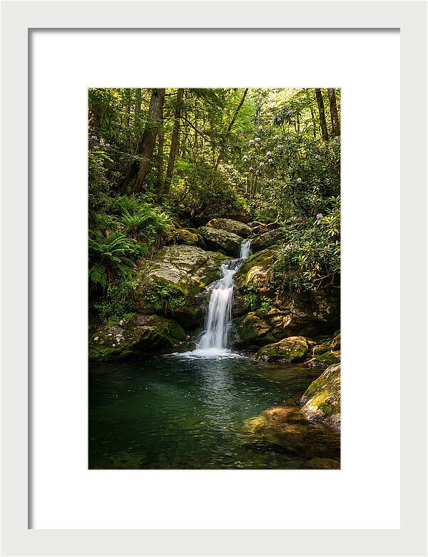 Cedar Falls Tranquility