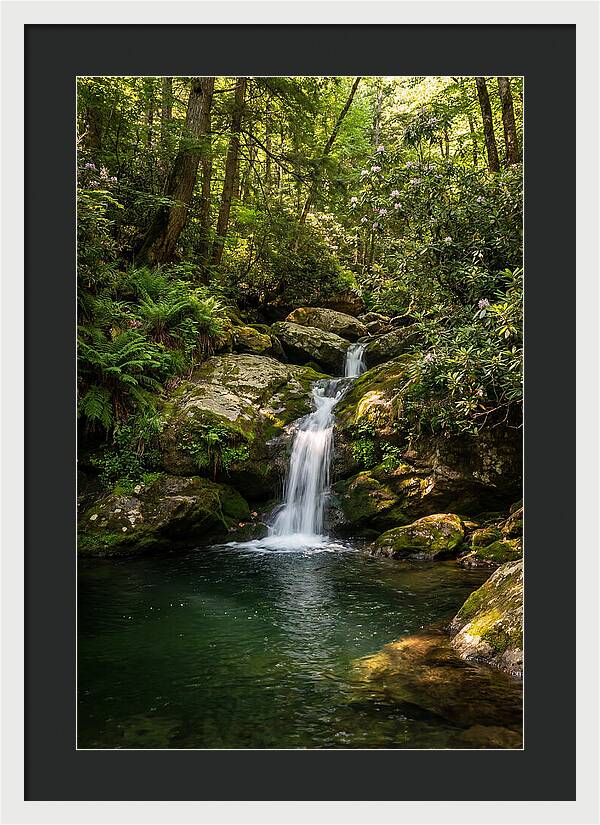 Cedar Falls Tranquility
