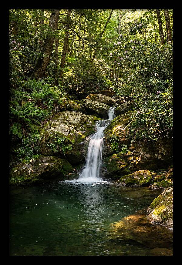 Cedar Falls Tranquility