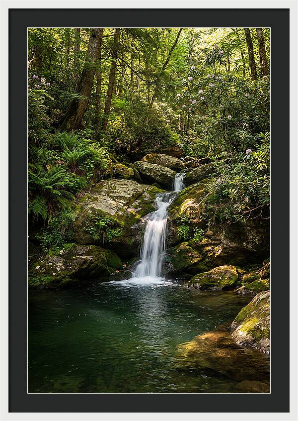 Cedar Falls Tranquility