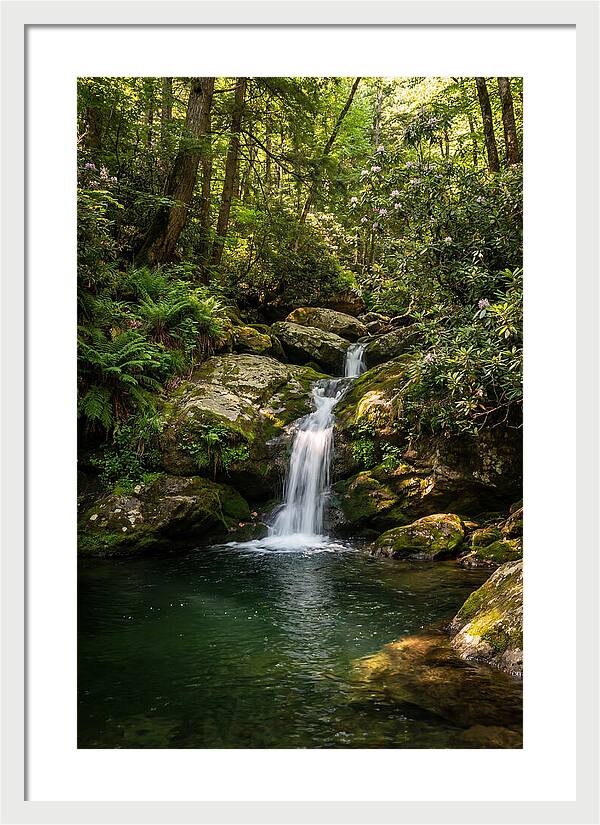 Cedar Falls Tranquility