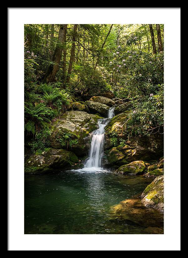 Cedar Falls Tranquility