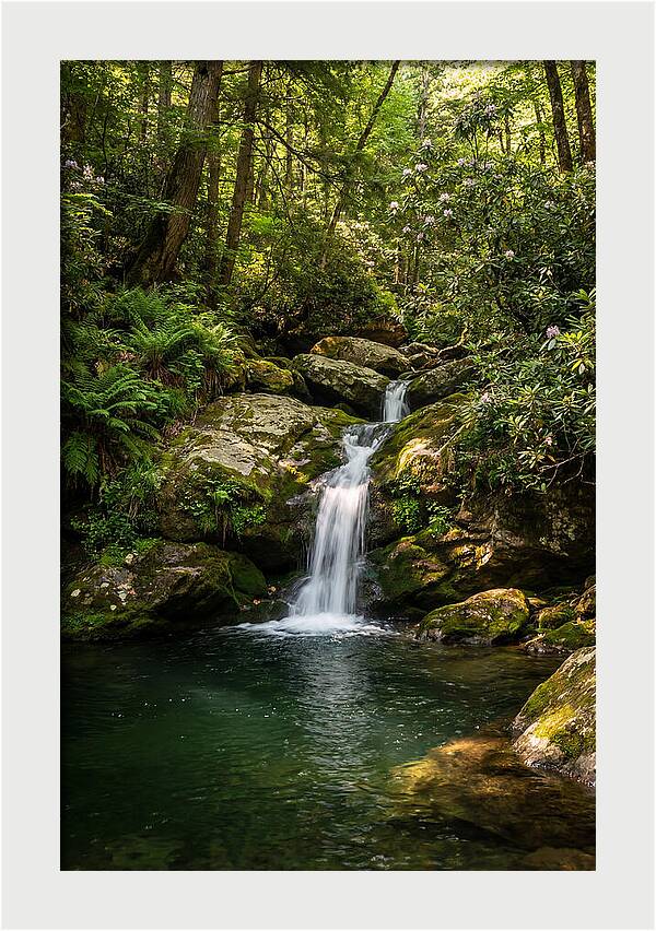 Cedar Falls Tranquility