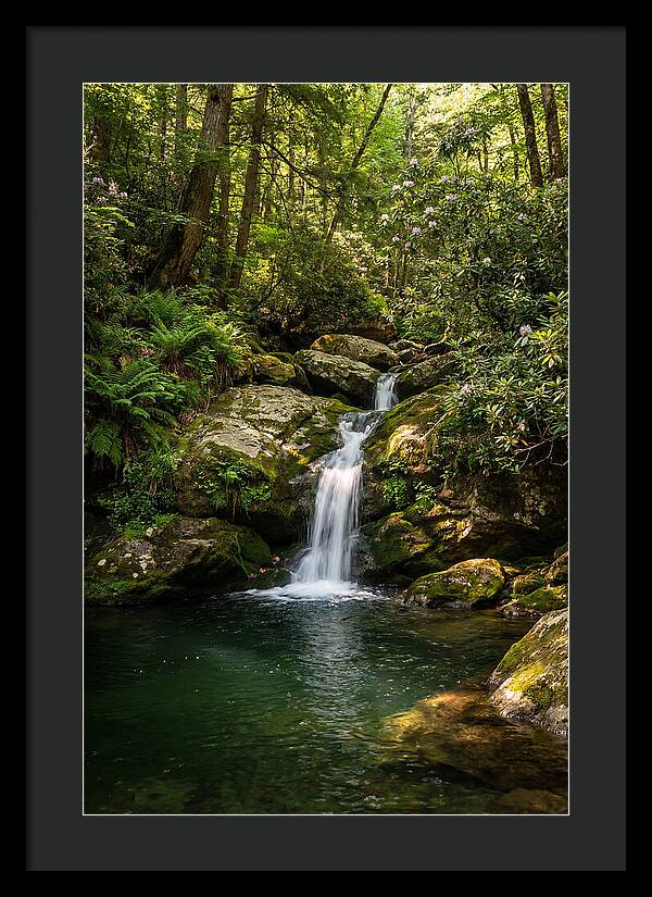 Cedar Falls Tranquility