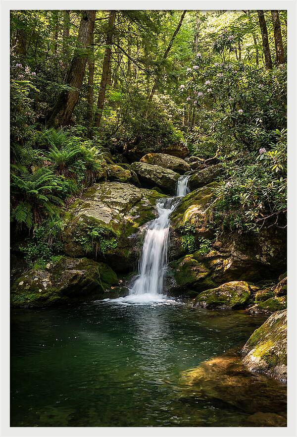 Cedar Falls Tranquility