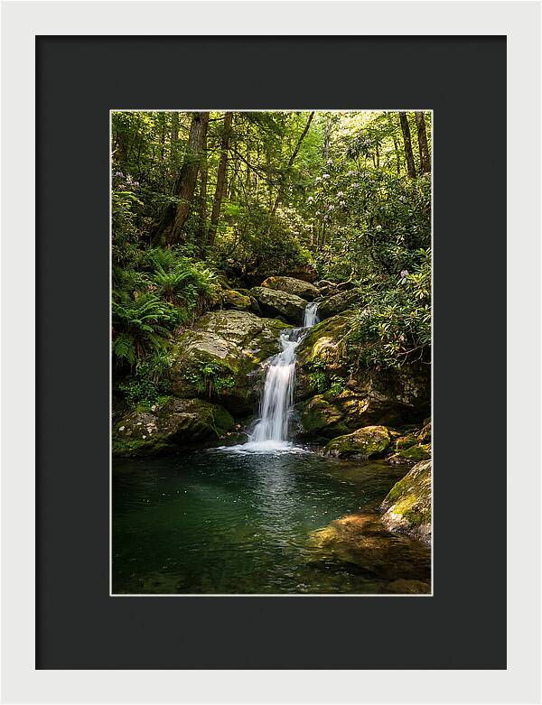 Cedar Falls Tranquility