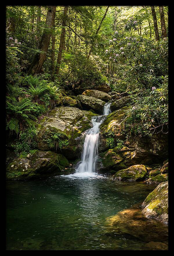 Cedar Falls Tranquility
