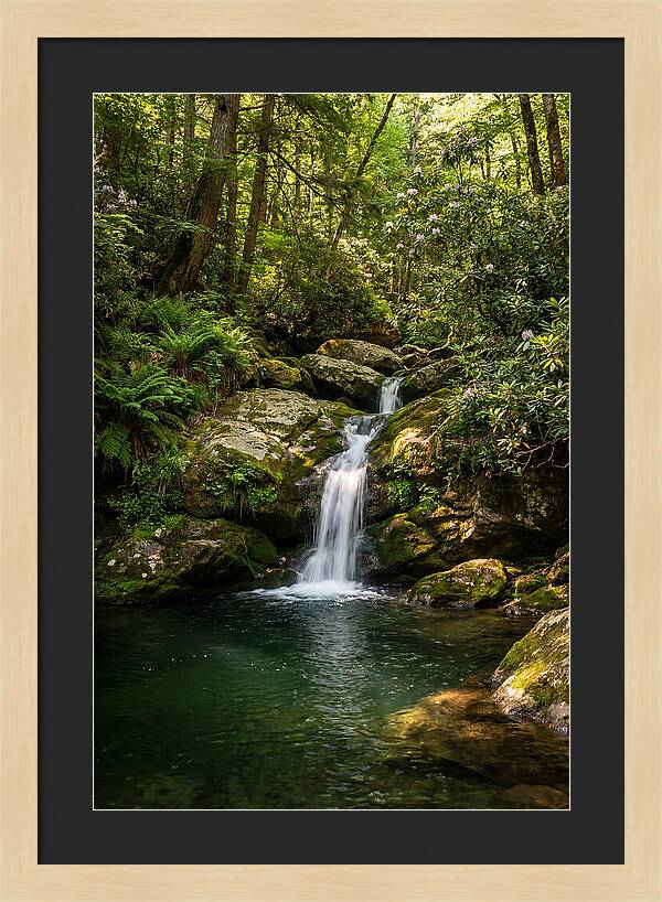 Cedar Falls Tranquility