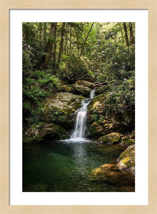Cedar Falls Tranquility
