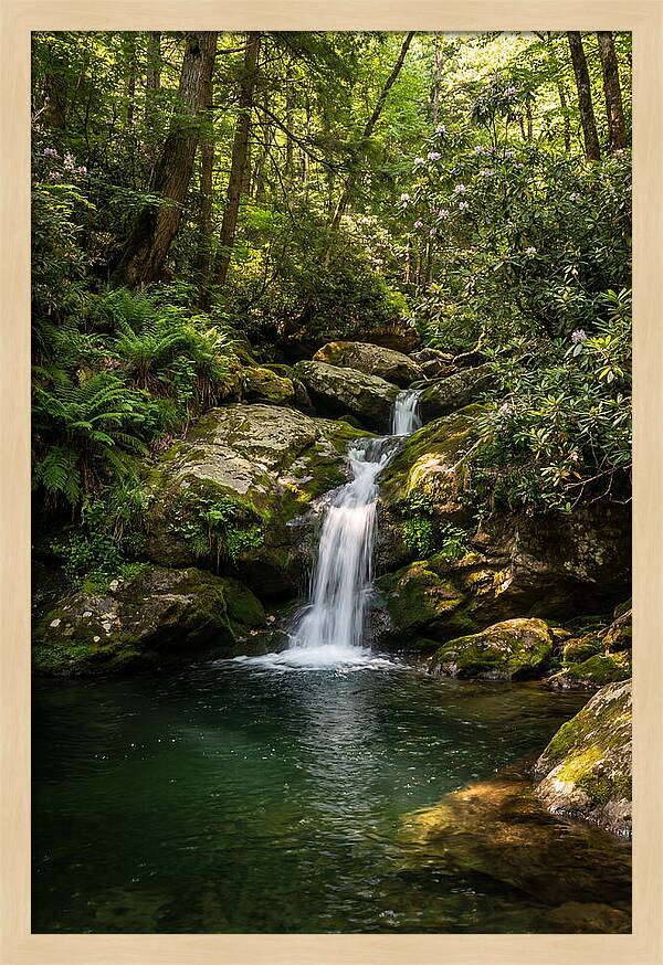 Cedar Falls Tranquility