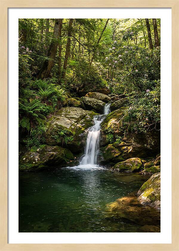 Cedar Falls Tranquility
