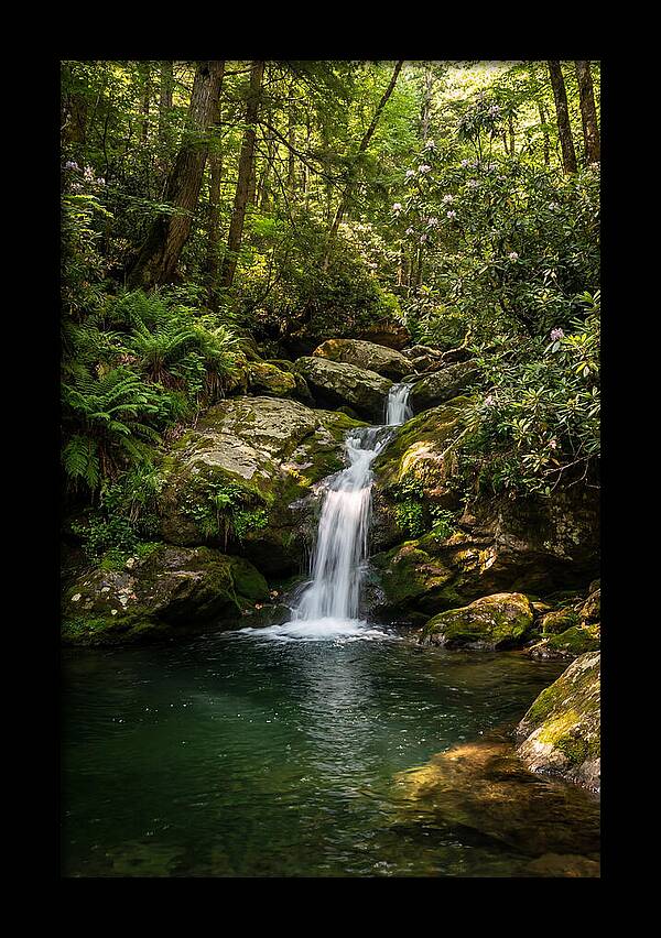 Cedar Falls Tranquility