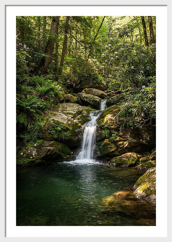 Cedar Falls Tranquility